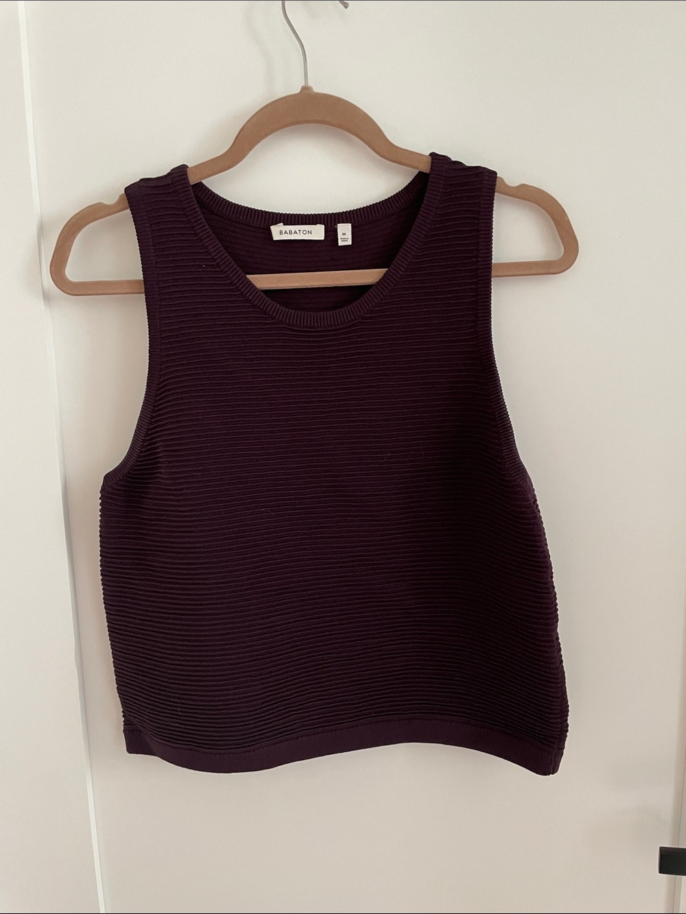 Babaton Ribbed Tank Top in Plum